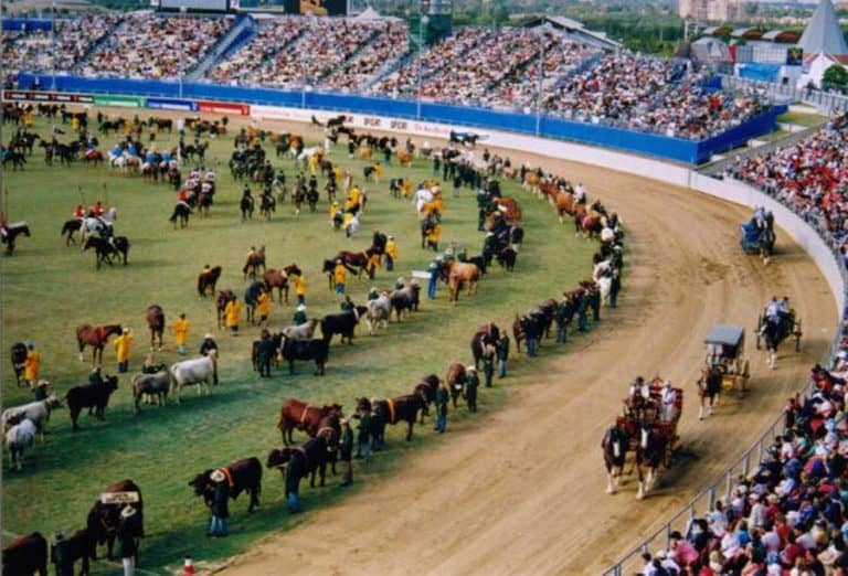 The Grand Parade at the Sydney Royal Easter SHow