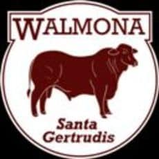 Walmona Santa Gertrudis