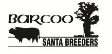 Barcoo Santa Breeders