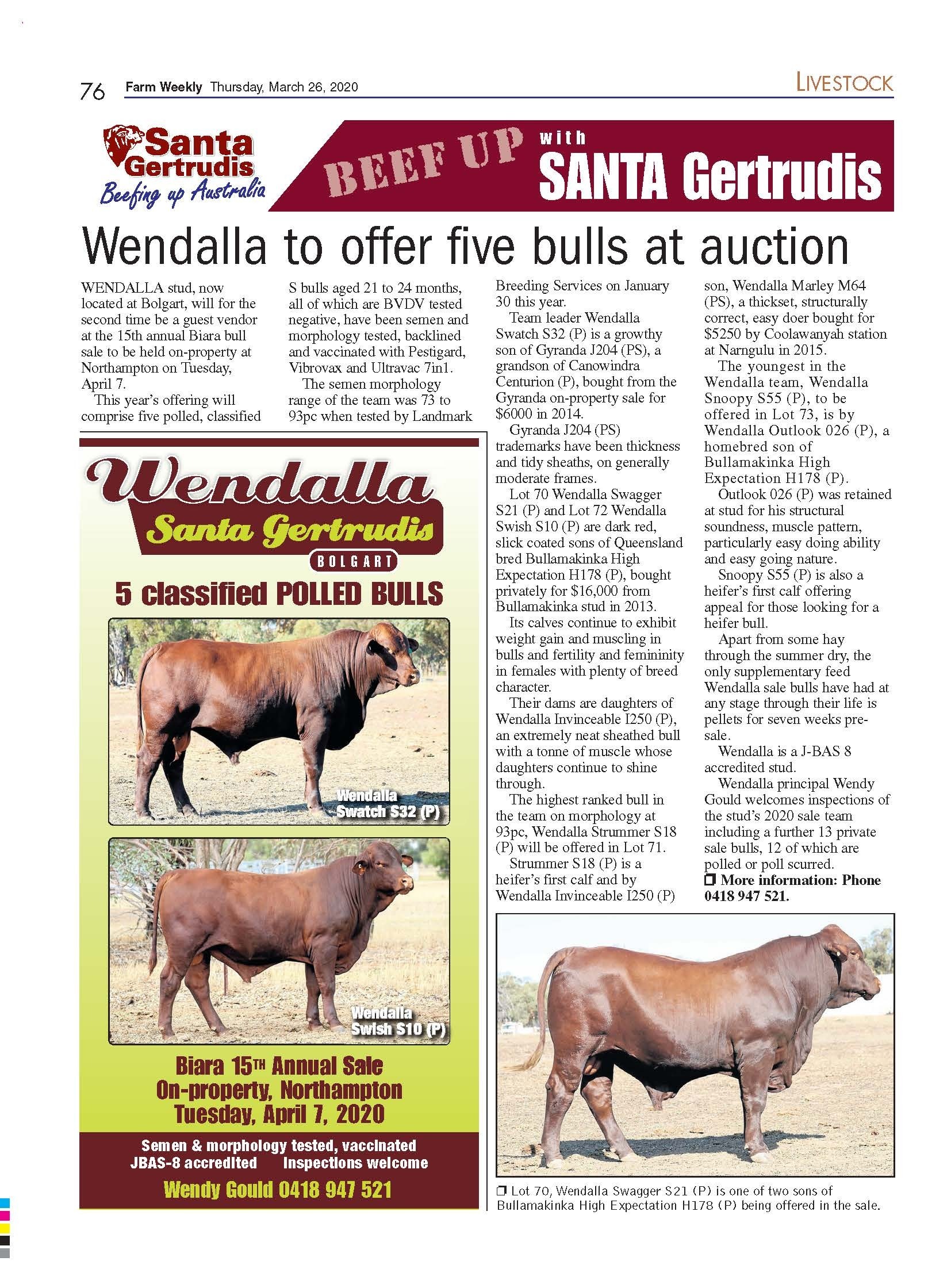 Wendall to offer five bulls at auction