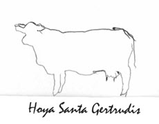 Hoya Pastoral Partnership
